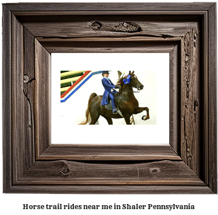 horse trail rides near me in Shaler, Pennsylvania